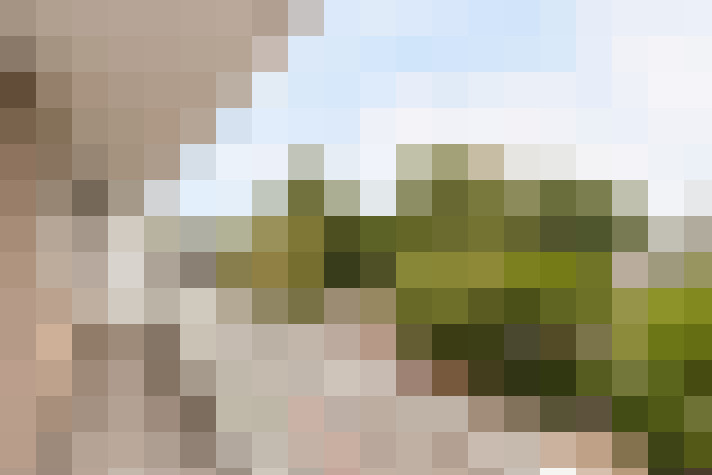 Image 28