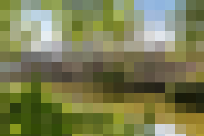 Image 32
