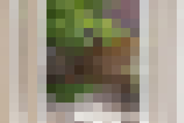  / #18