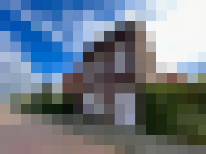 Image 12