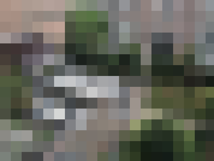 Image 17