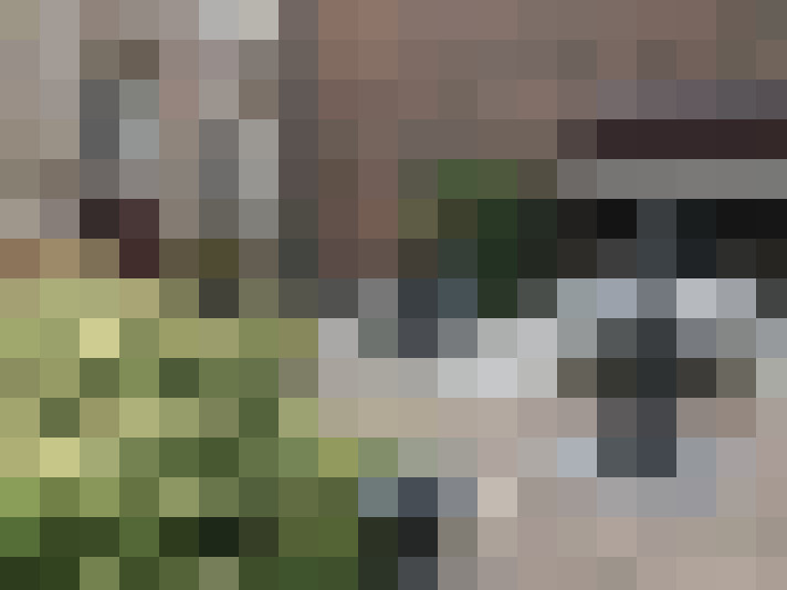 Image 15
