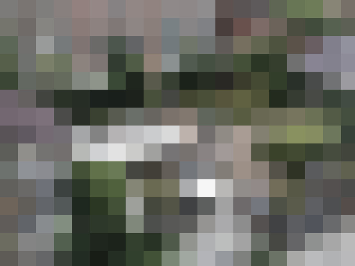 Image 16