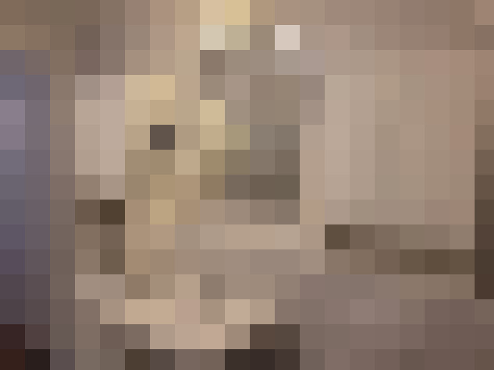  / #20