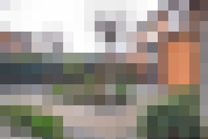 Image 45