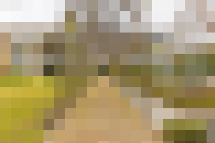 Image 32