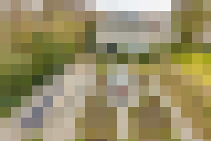 Image 18
