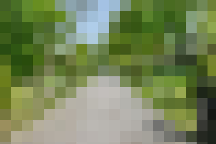 Image 18