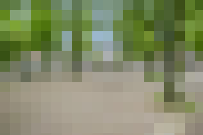 Image 20
