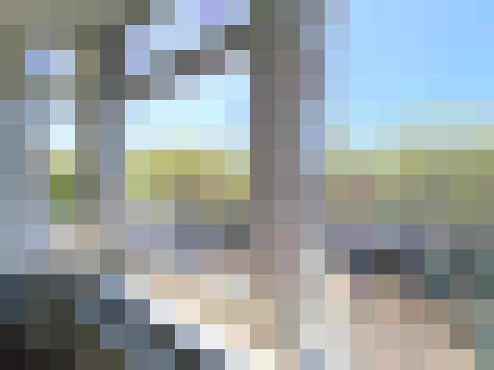  / #53