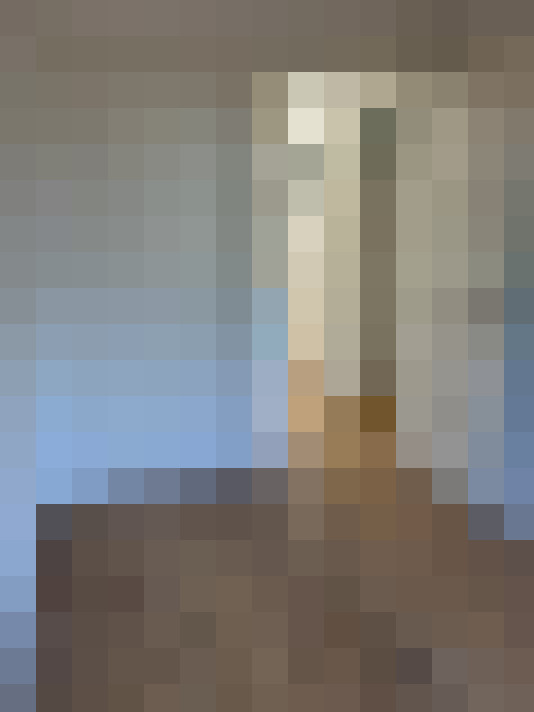  / #18