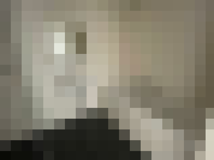 Image 13