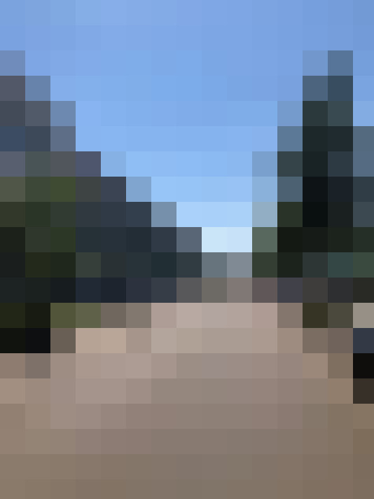 Image 21