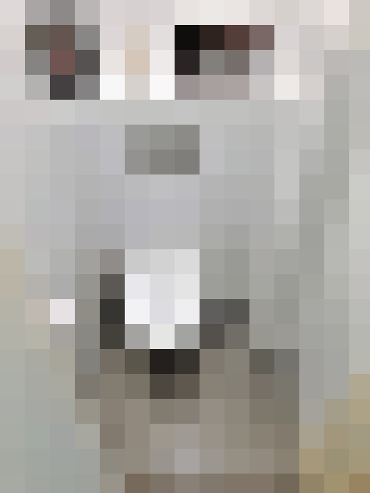  / #29