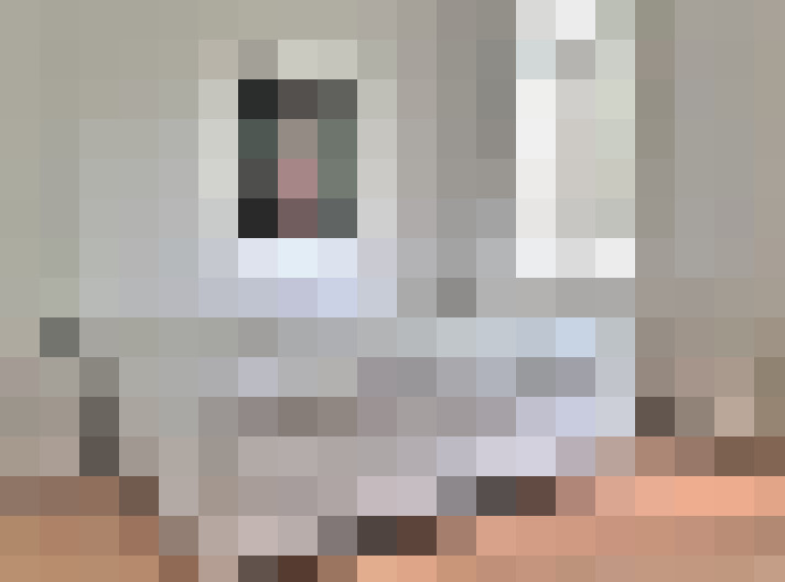  / #26