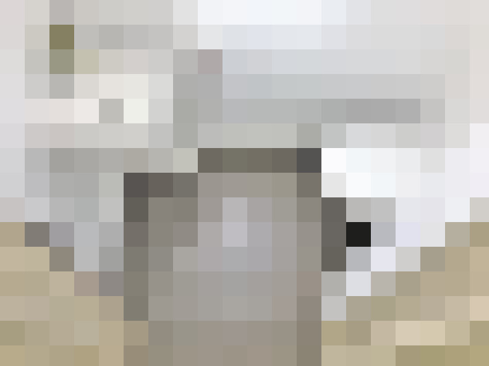  / #21