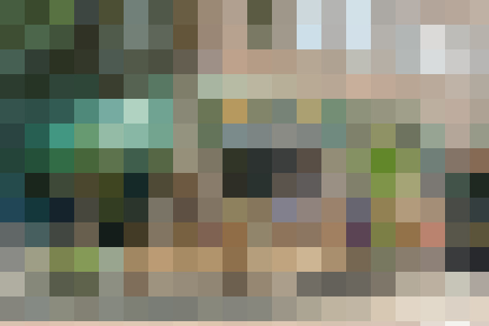 Image 22