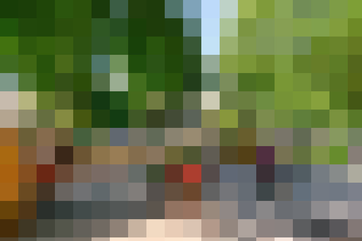 Image 13