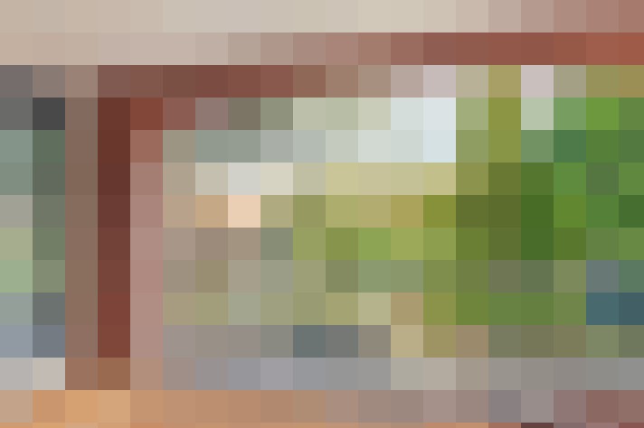 Image 20