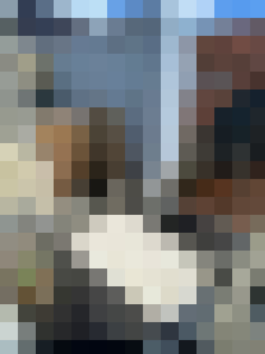 Image 15