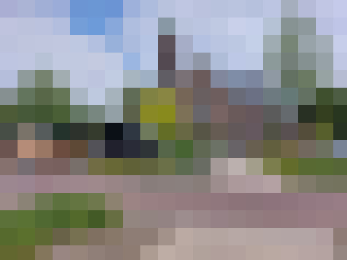 Image 16