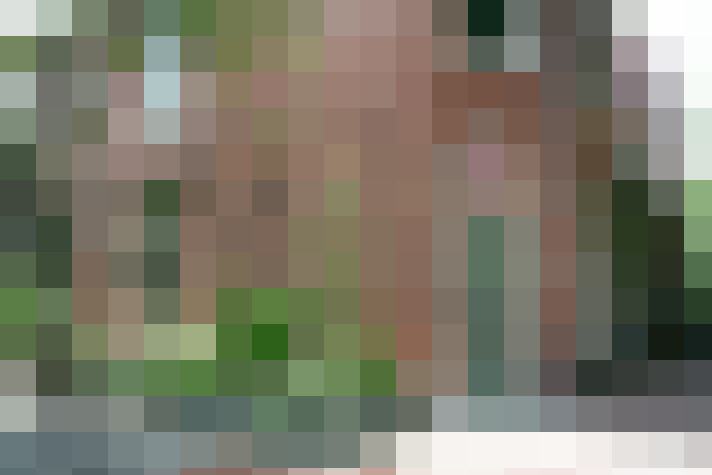 Image 25