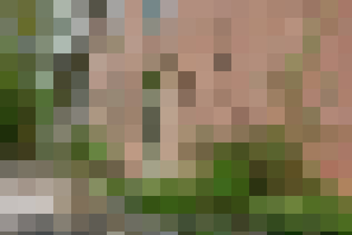 Image 24