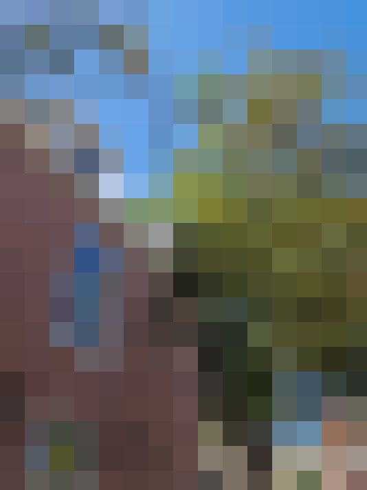 Image 22
