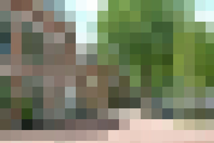 Image 26