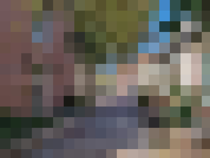 Image 21