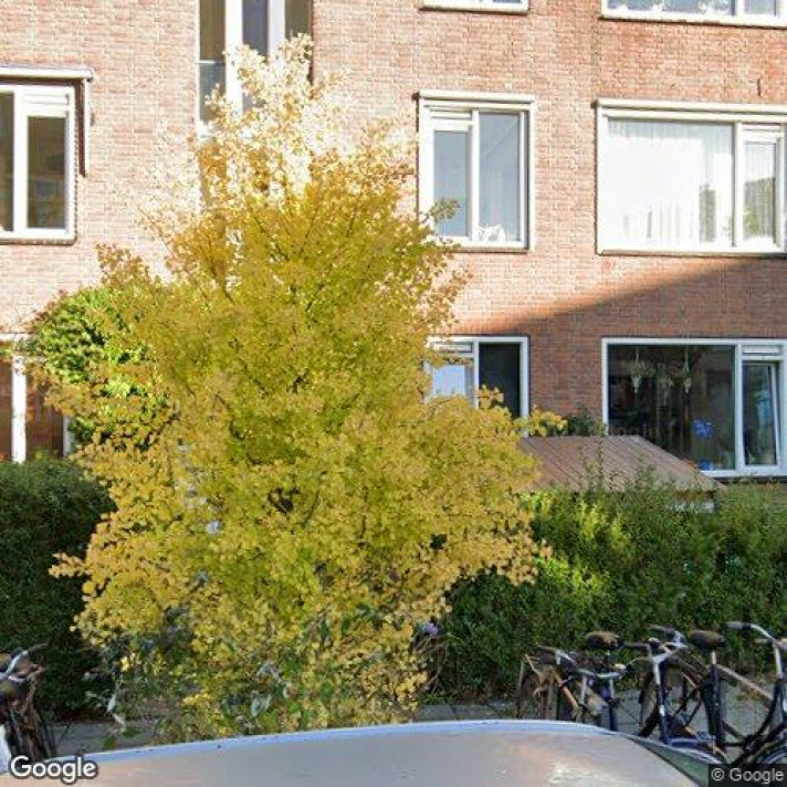 Bekijk foto 1/1 van apartment in Rotterdam