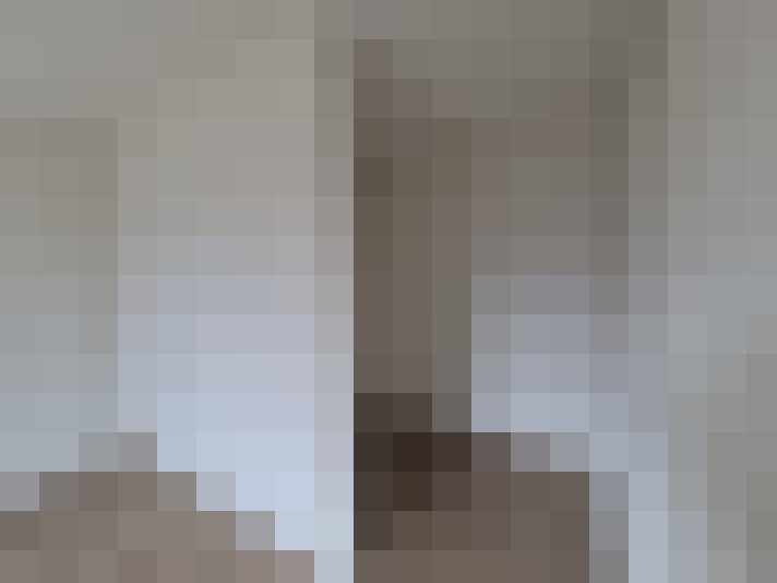  / #15