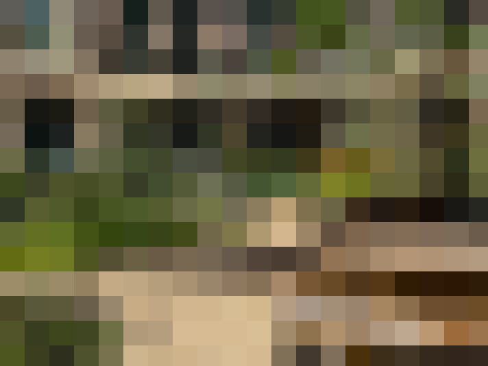  / #17