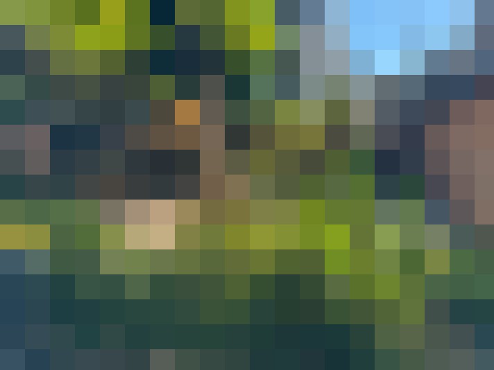  / #19