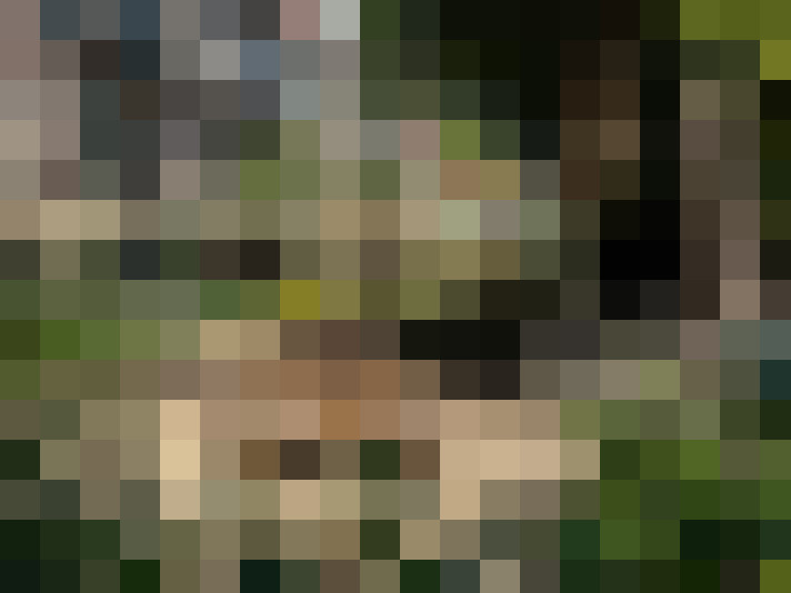  / #16