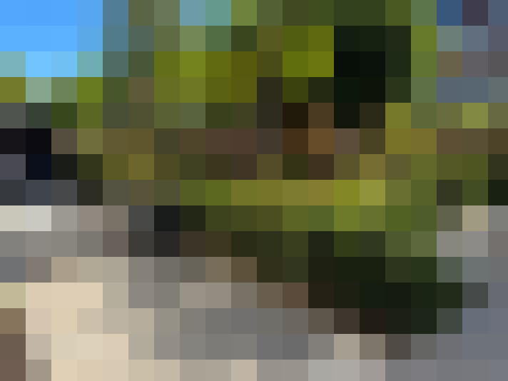  / #18