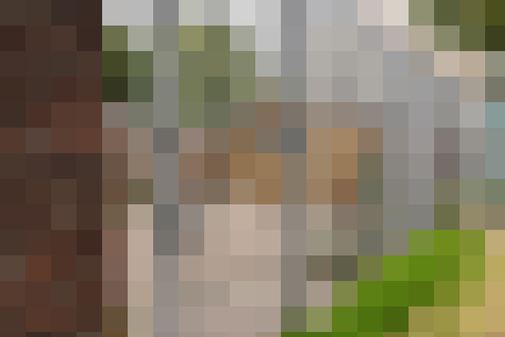Image 29