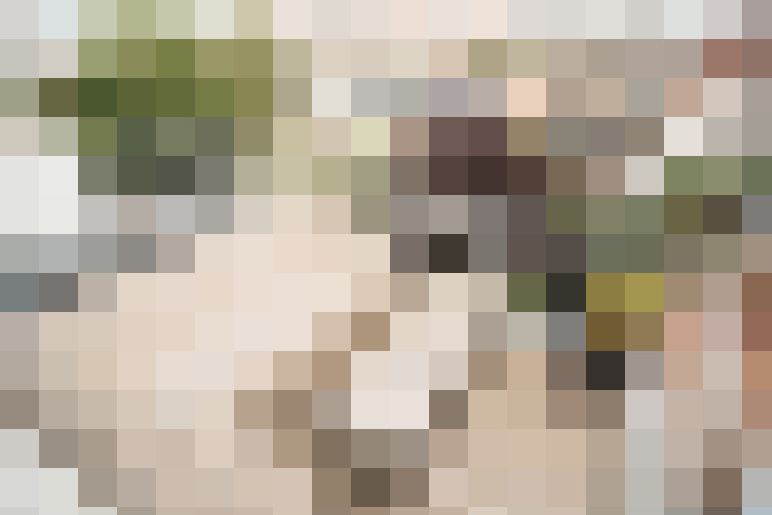 / #14