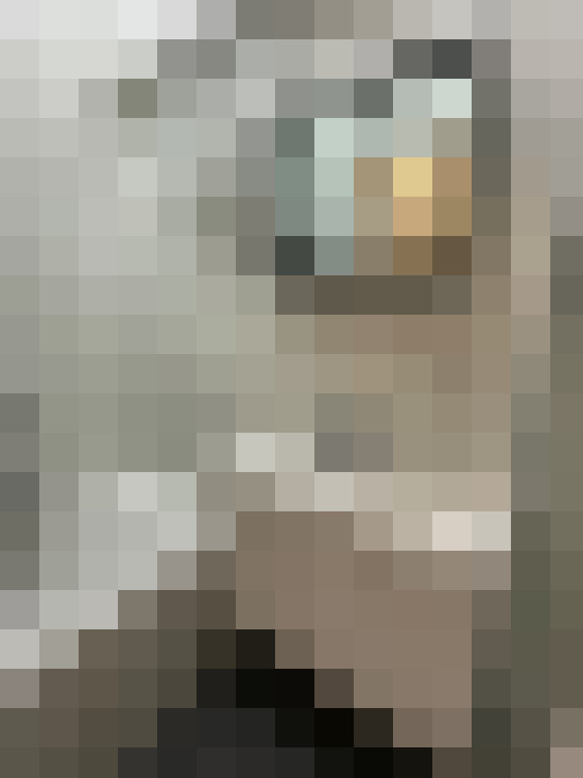 / #15