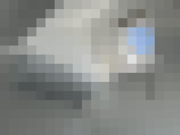  / #23