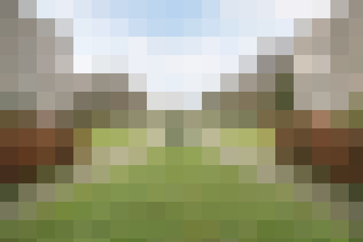 Image 14