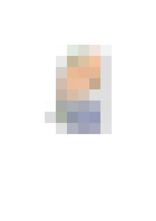 Image 15