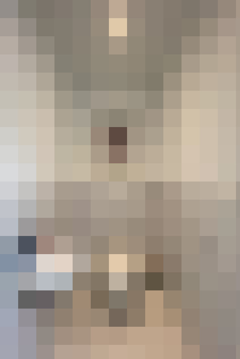  / #16
