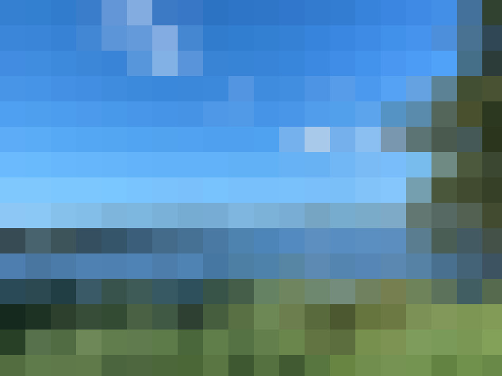 Image 22