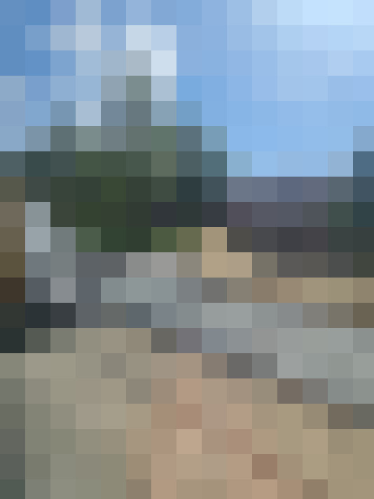 Image 15