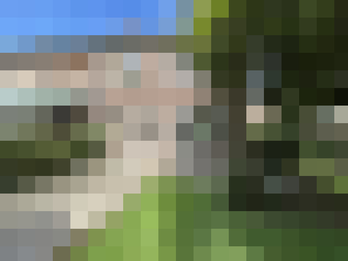 Image 22