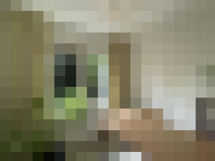 Image 20