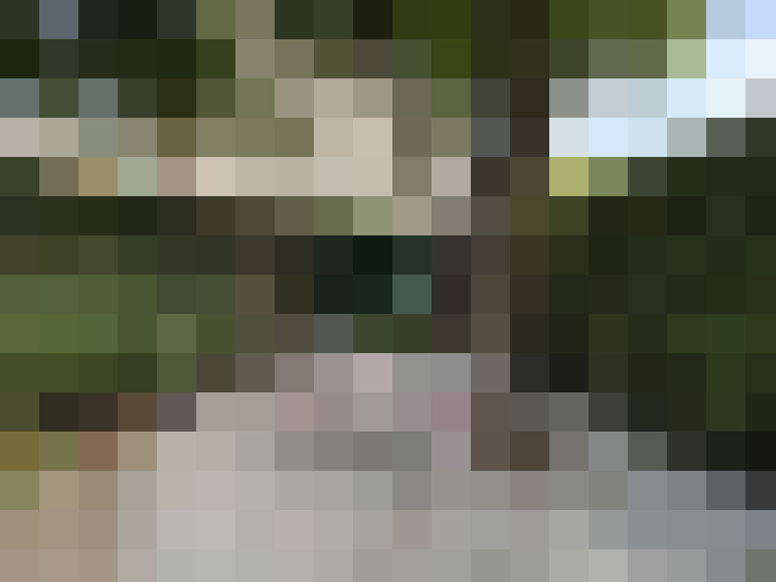 Image 23