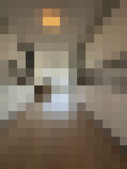 Image 28