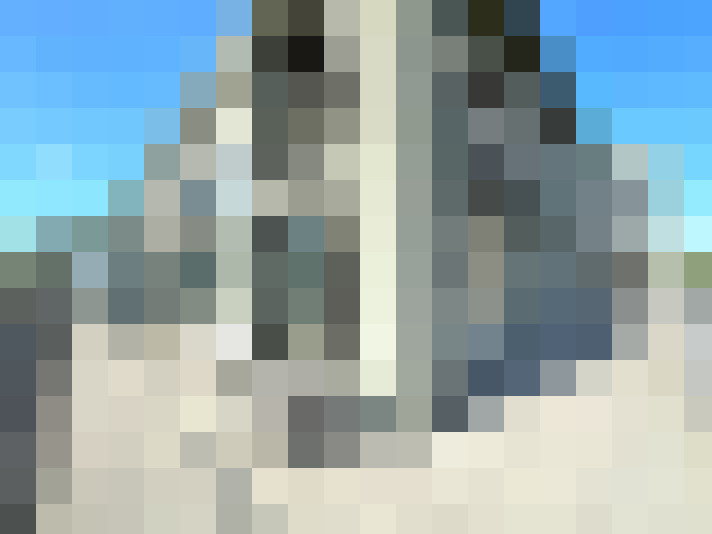 Image 20